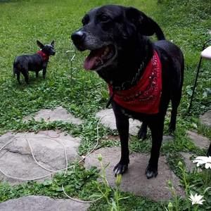 Meet your Posher, Clara